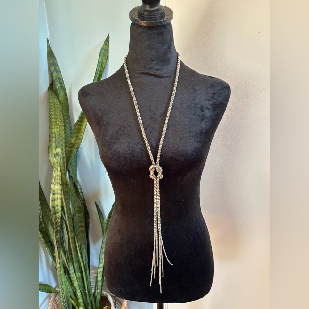 Elegant Silver Lariat Necklace